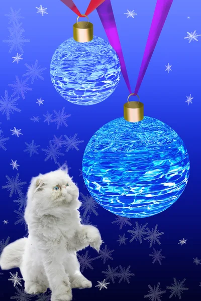 Biały kot dotyka lapka New Year's Ball — Zdjęcie stockowe