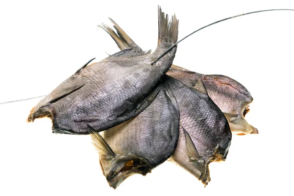 Sušené ryby izolovaných na bílém pozadí — Stock fotografie