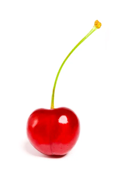 Cereja doce em um fundo branco — Fotografia de Stock