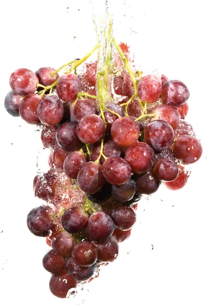 Cluster of grapes in water drops — Stock Photo, Image