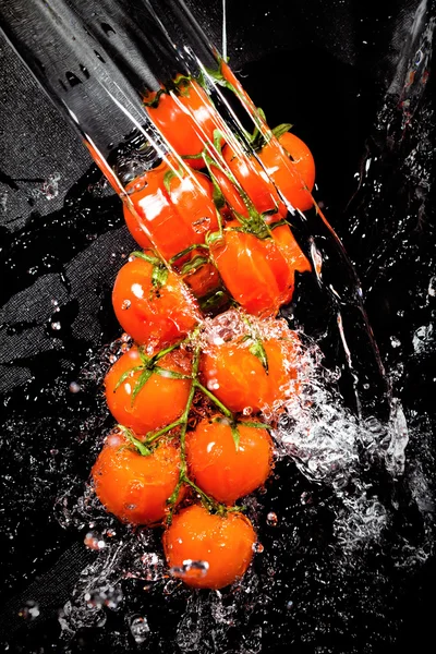 水飛沫中のトマトの枝 — ストック写真