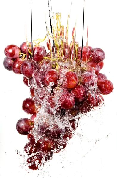 Grappe de raisins dans les éclaboussures d'eau — Photo