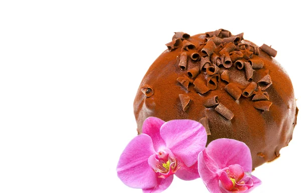 Schokoladenkuchen und Orchideenblume — Stockfoto