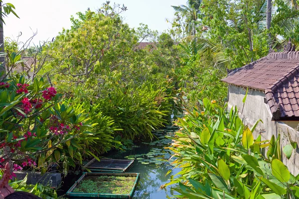 Paysage tropical. Indonésie. Bali. — Photo
