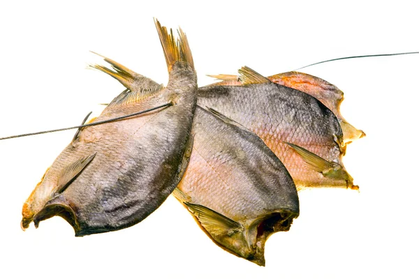 Сушені риби ізольовані на білому тлі — стокове фото