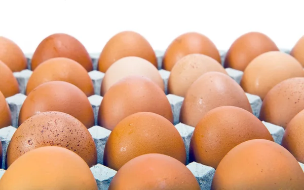 Jaja na białym tle — Zdjęcie stockowe