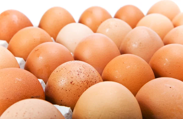 Αυγά Λευκό Φόντο — Φωτογραφία Αρχείου