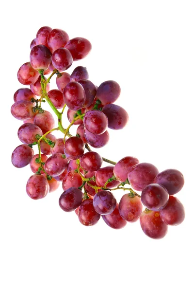 Clúster de uvas — Foto de Stock