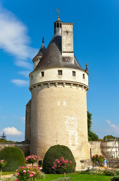 Slottet Dal Floden Loire Frankrike Chateau Chenonceau — Stockfoto