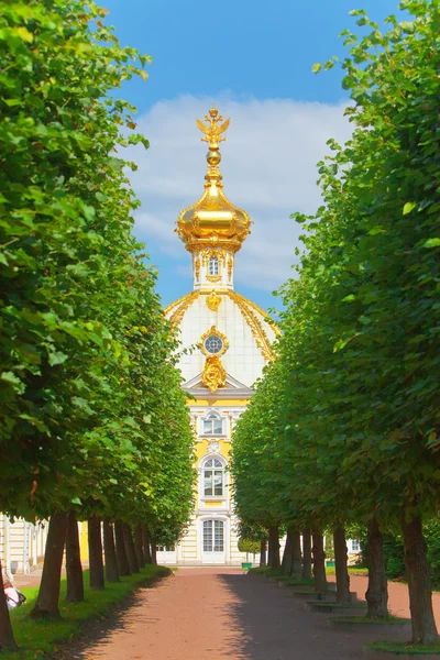 Rusya, petrodvorets-peterhof Sarayı — Stok fotoğraf