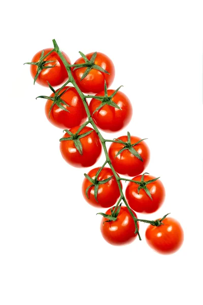 トマトの分室 — ストック写真