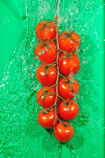Rama de tomates en salpicaduras de agua — Foto de Stock