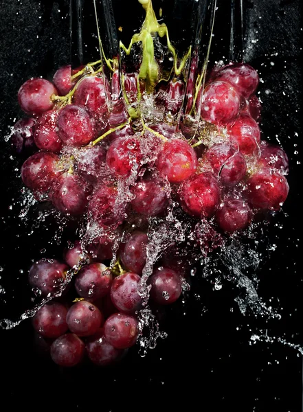 Cluster de uvas em salpicos de água — Fotografia de Stock
