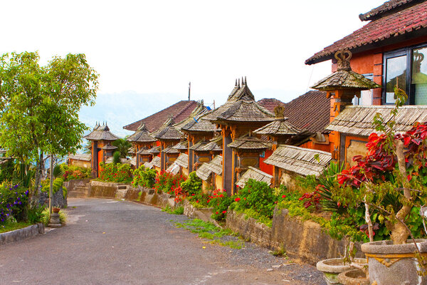 Bali. Indonesia. Rural street.