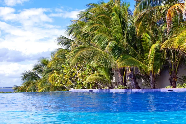 Zwembad in een tropische tuin. — Stockfoto
