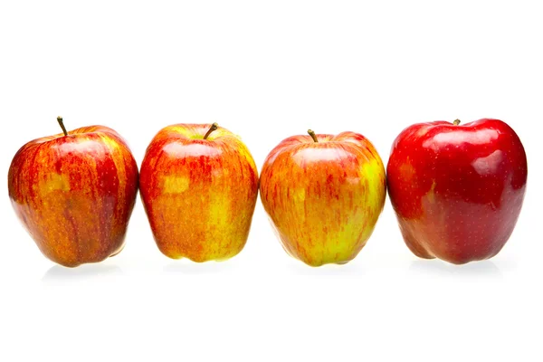 Soczyste jabłka położyć się w szeregu na białym tle — Zdjęcie stockowe