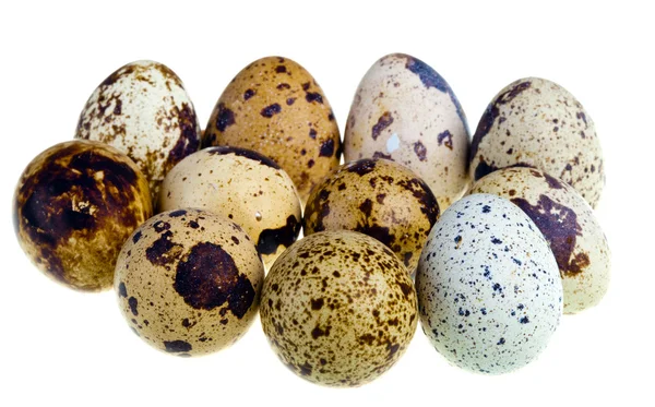 Jaja przepiórcze — Zdjęcie stockowe