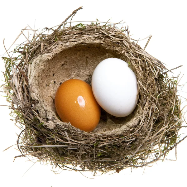 Φωλιά, γύρισε από γρασίδι με αυγά — Φωτογραφία Αρχείου