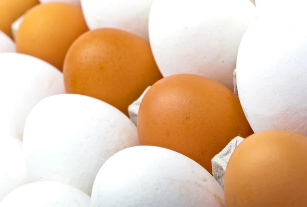 Eggs.Close επάνω σε μια ηλιόλουστη ημέρα — Φωτογραφία Αρχείου