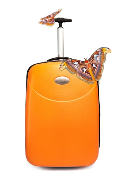 Two huge tropical butterflies on a suitcase — Stock Photo, Image