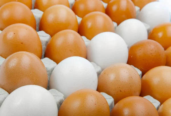 Αυγά, κοντινό πλάνο σε μια ηλιόλουστη ημέρα — Φωτογραφία Αρχείου