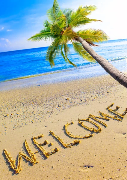 Sur une plage, il est écrit Bienvenue et un palmier sur l'océan — Photo