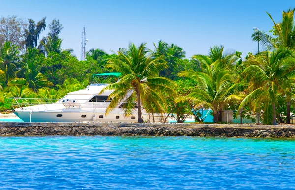 El yate en un amarre entre palmeras tropicales — Foto de Stock