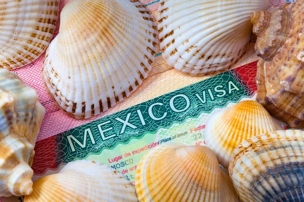 A vízum mexikói és tengeri cockleshells - a többi koncepció — Stock Fotó