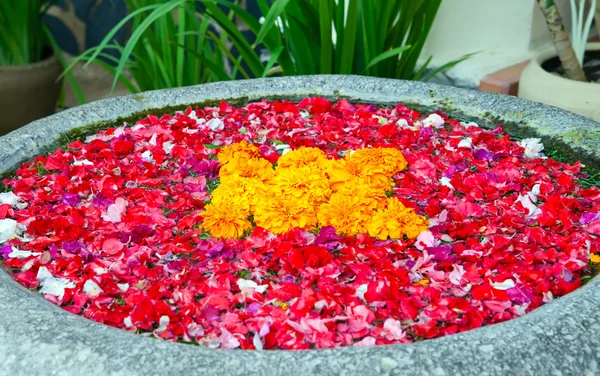 stock image The street bowl decorated with petals of flower