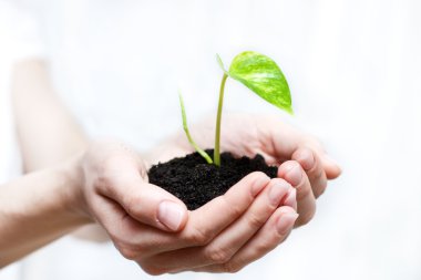 Holding small plant clipart