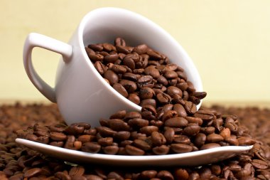 Kahve fincanı