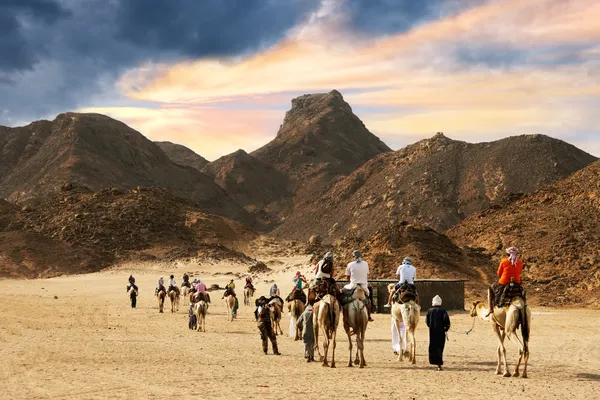 Караван верблюдов, проходящий через пустыню — стоковое фото