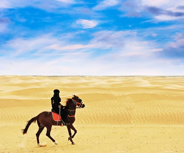 Beduin på häst — Stockfoto