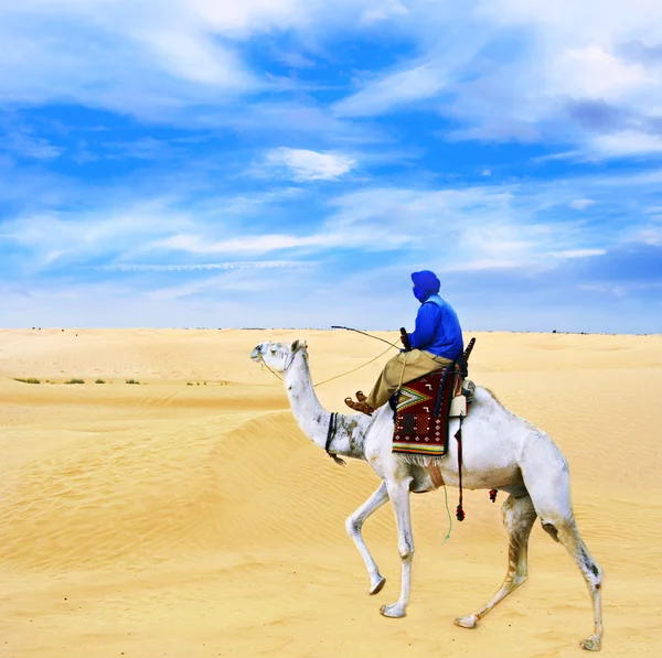 Beduíno em camelo passando pelo deserto do Saara — Fotografia de Stock