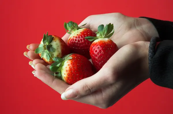 stock image Strawberry