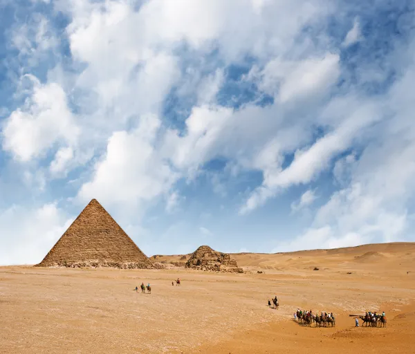 骆驼商队 — 免费的图库照片