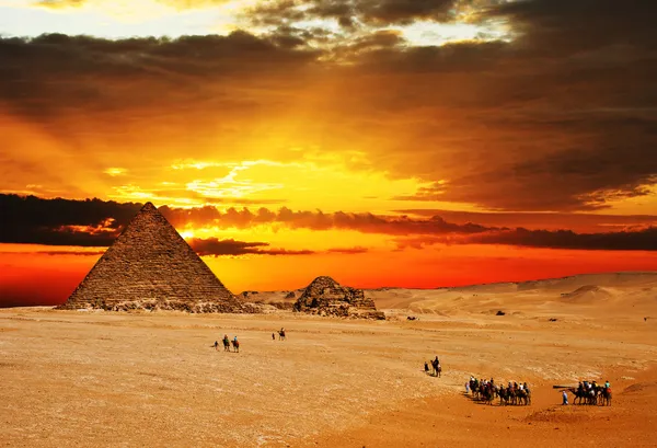 Caravana de camelo ao pôr do sol Fotos De Bancos De Imagens Sem Royalties