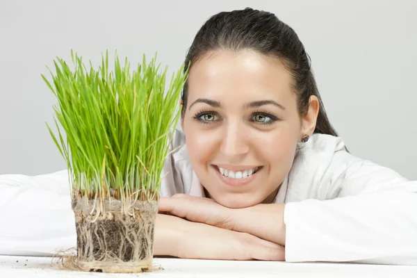 Portrait Businesswoman Looking Green Plant — Stock Photo, Image