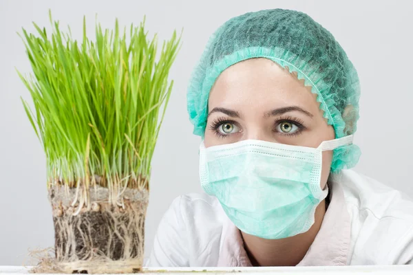Researcher Looking Genetic Plant — Stock Photo, Image