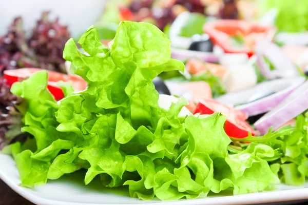 Nahaufnahme Von Gesundem Frischem Salat Auf Dem Tisch — Stockfoto