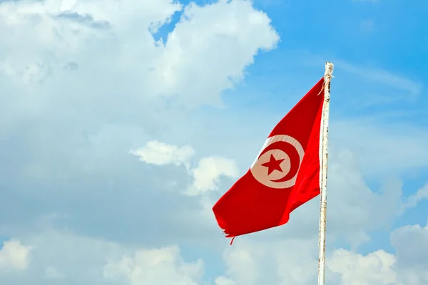 チュニジアの国旗 — ストック写真