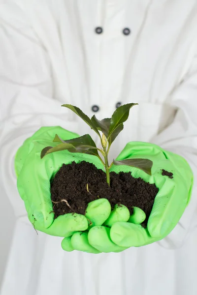 Care about earth — Stock Photo, Image