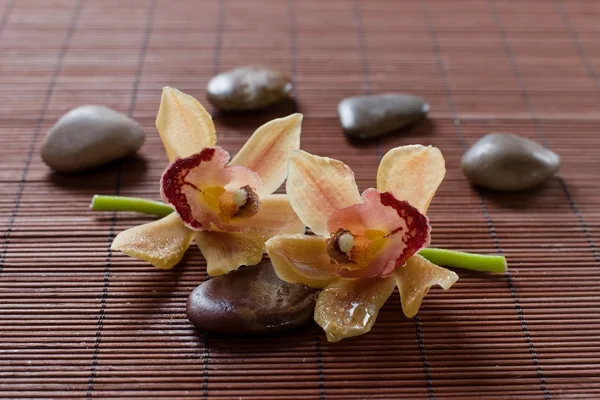 Blomma orkidé och zen stenar — Stockfoto