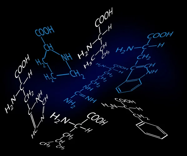 Acides aminés — Image vectorielle