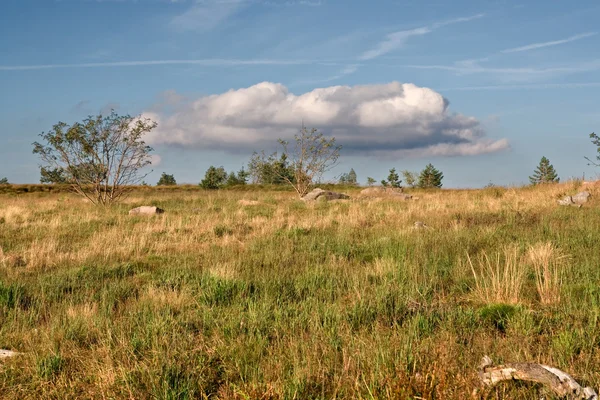 Landschap met wolk aan de horizon — Stockfoto