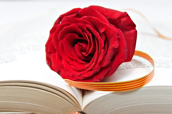 stock image Rose and Book, a tradition in Catalonia