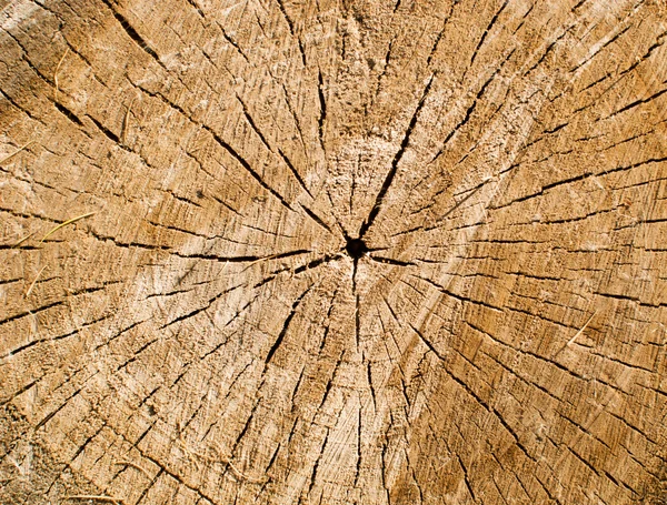 stock image Wooden background