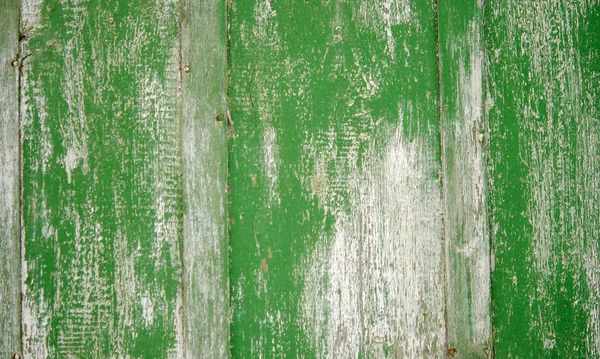 녹색 울타리 — 스톡 사진
