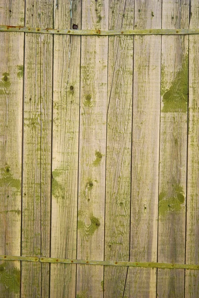 Зеленый забор — стоковое фото