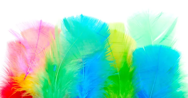 Feathers — Stock Photo, Image